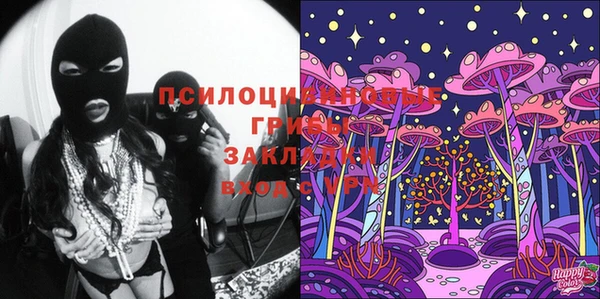 а пвп мука Осинники