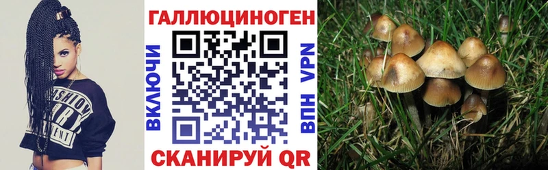 продажа наркотиков  Партизанск  Псилоцибиновые грибы мухоморы 